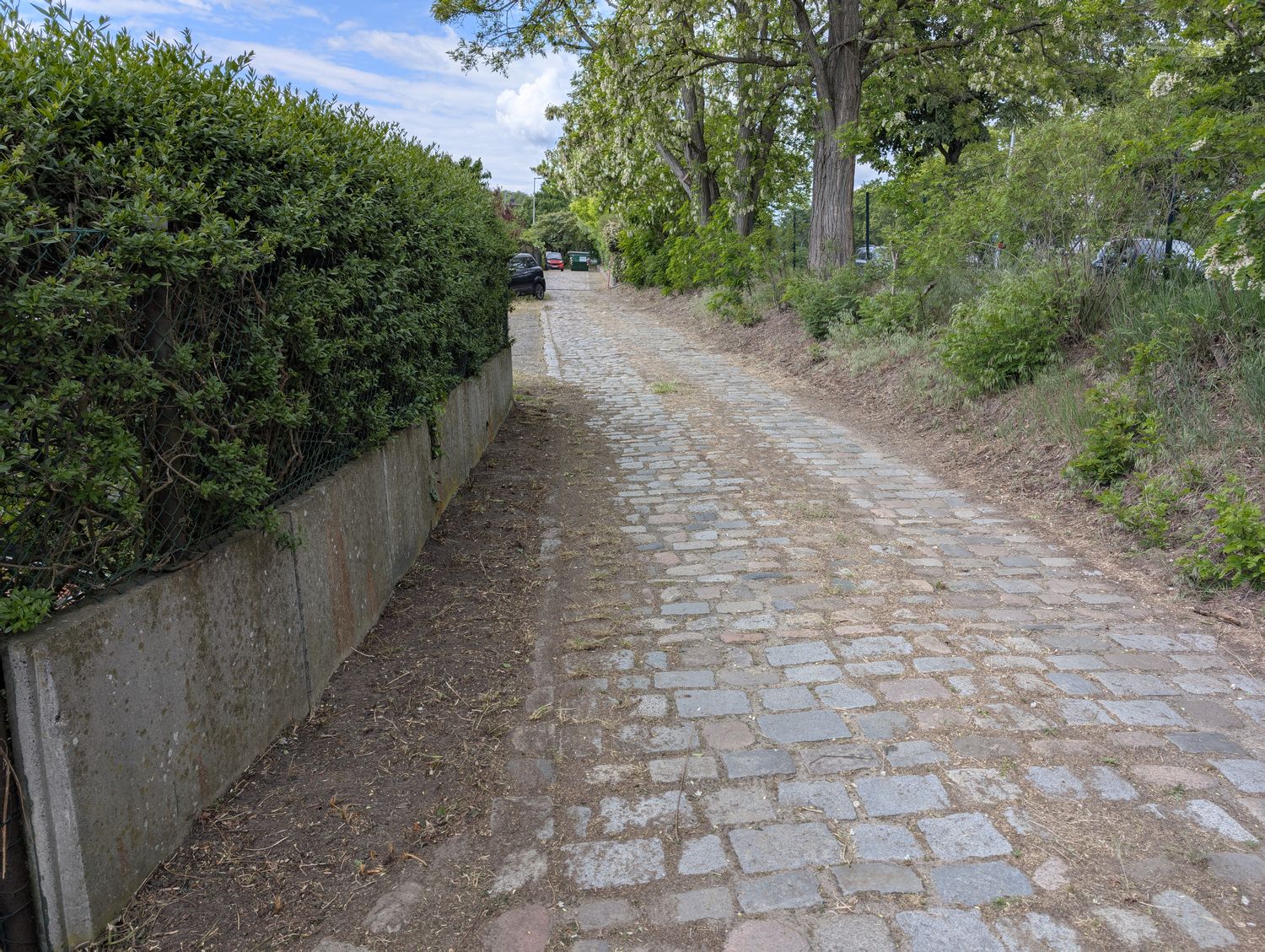 arbeitsdienst_004